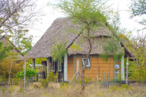 Eliata Bush Camp